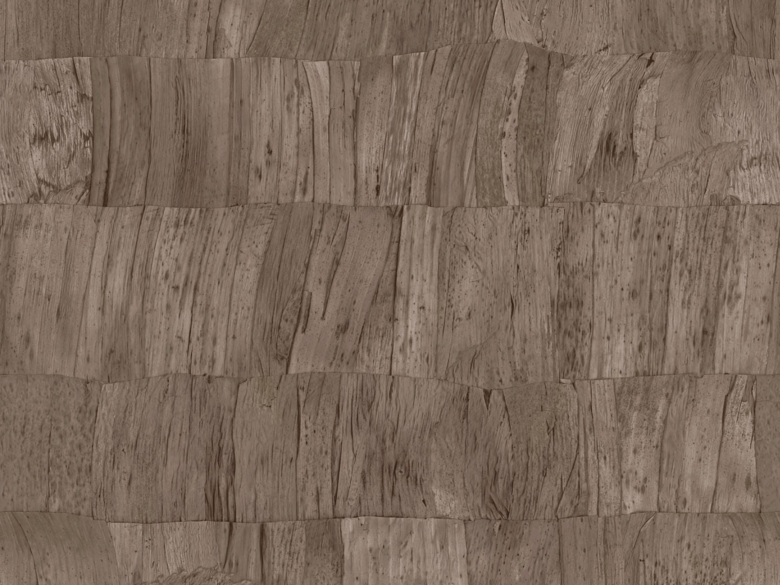 Arte Selva Capas - 34305