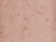 Arte Lush Stellar - 37503
