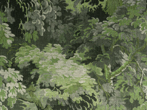 Arte Décors & Panoramiques Dioré - 48010A