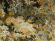 Arte Décors & Panoramiques Dioré - 48011A