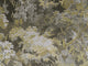 Arte Les Forêts Dioré - 48012