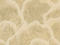 Arte Zephyr Nefeli - 48631