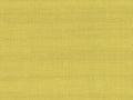 Arte Paleo Latus - 50507