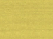 Arte Paleo Latus - 50507