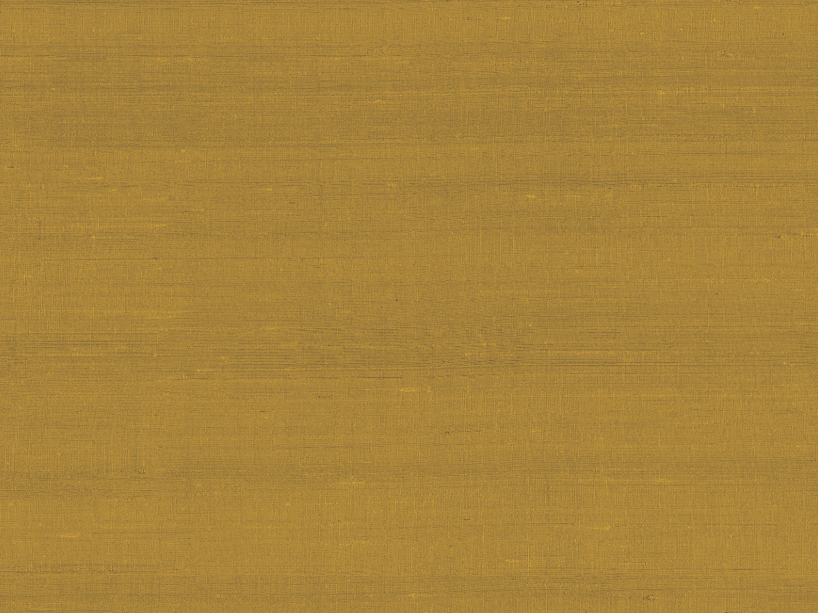 Arte Paleo Latus - 50509
