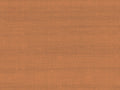 Arte Paleo Latus - 50514