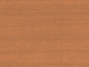 Arte Paleo Latus - 50514