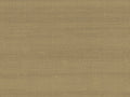 Arte Paleo Latus - 50515
