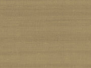 Arte Paleo Latus - 50515