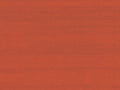 Arte Paleo Latus - 50517
