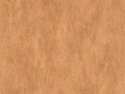 Arte Essentials Palette Manchas - 57526A