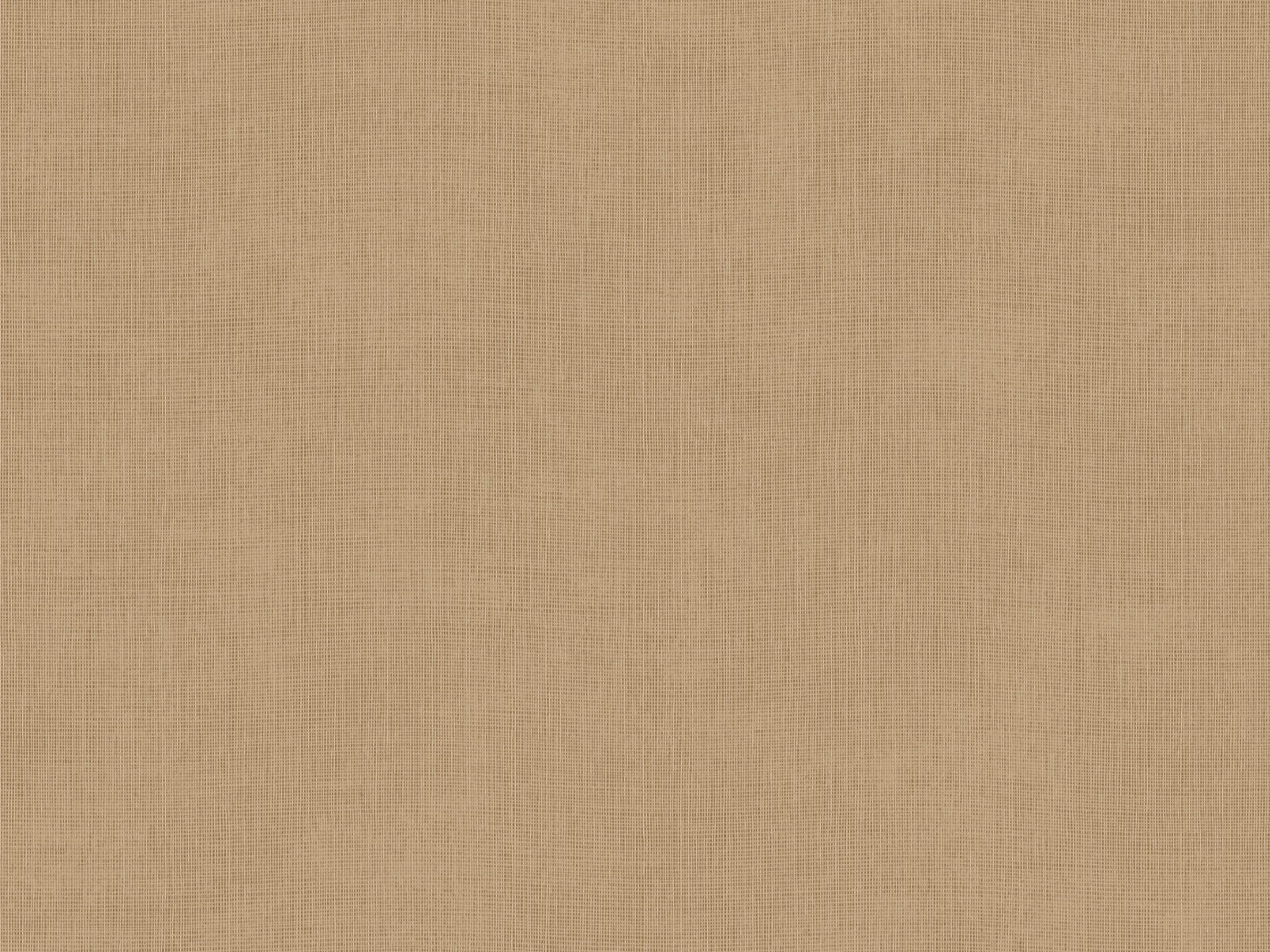 Arte Manila Tulle - 73090A
