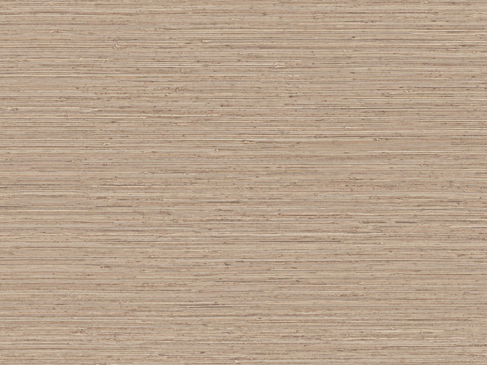 Arte Pampas Matiz - 73524