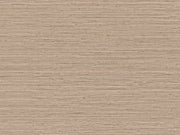 Arte Pampas Matiz - 73524