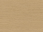 Arte Pampas Matiz - 73525