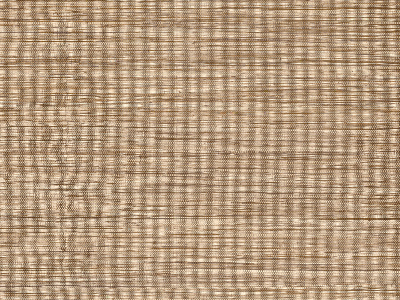 Arte Pampas Sombra - 73545