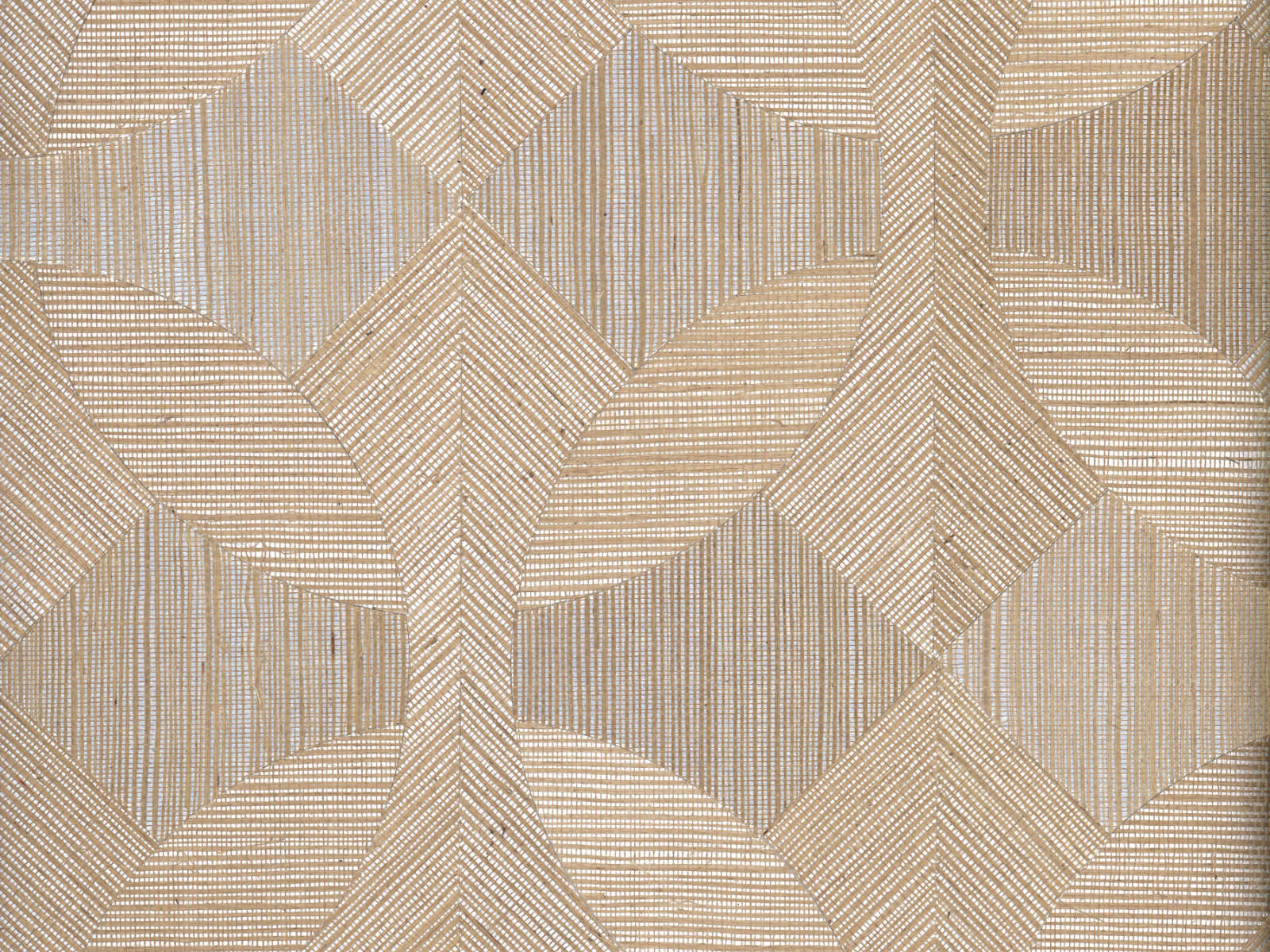 Arte Oculaire Unite - 80605