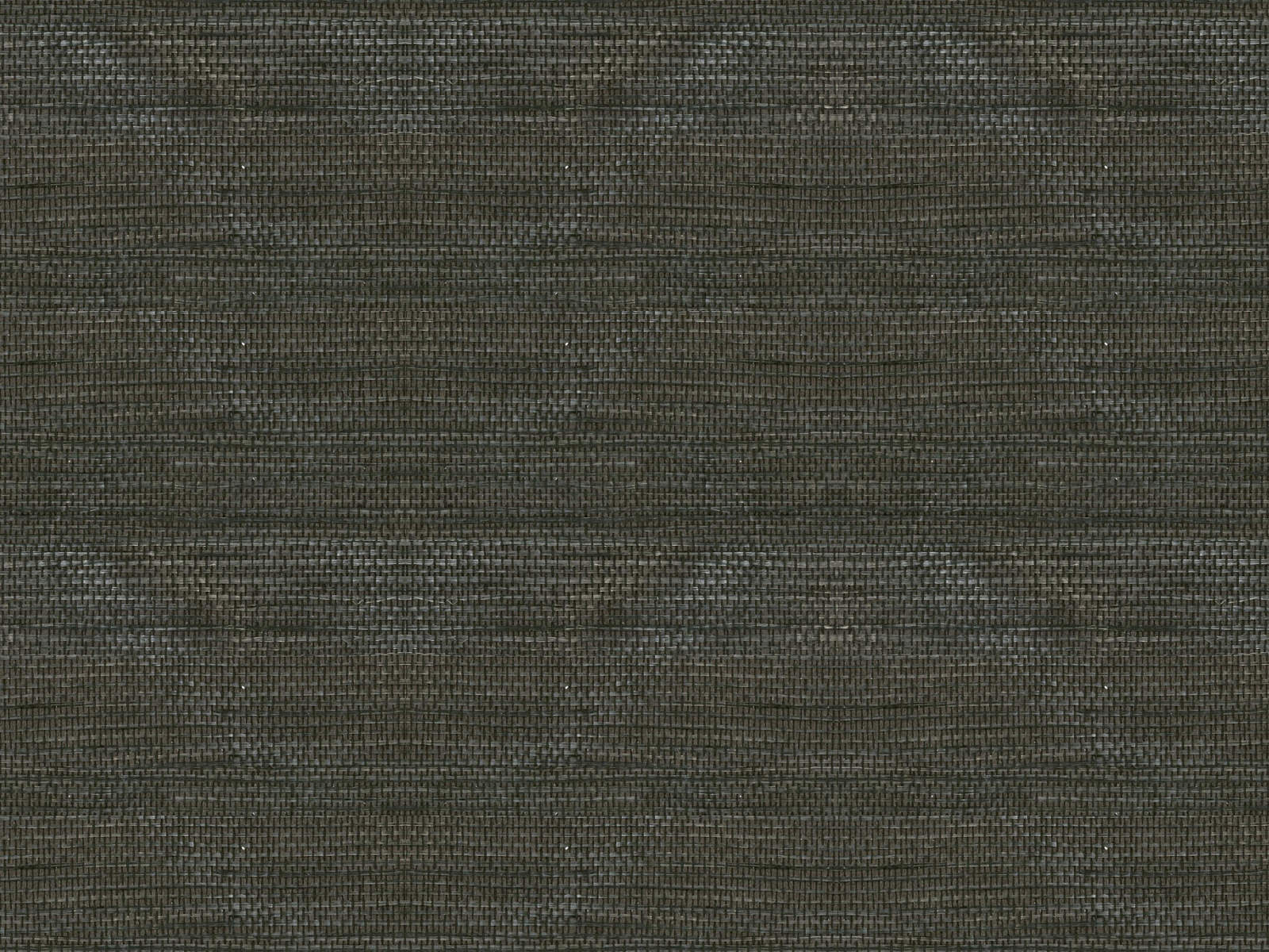 Arte Oculaire Line - 80701