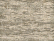 Arte Wild Silk Katia Silk - 86504