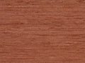 Arte Wild Silk Pure Silk - 86528