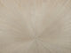 Arte Boutique Sunburst - 90510
