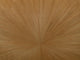 Arte Boutique Sunburst - 90511