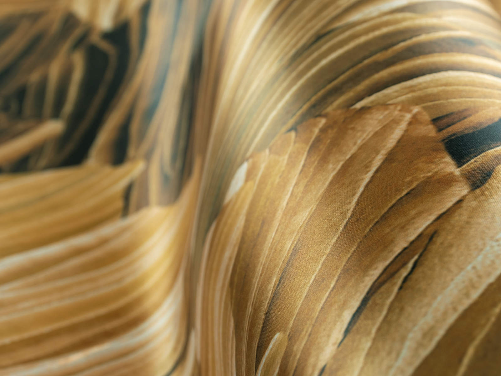Arte Décors & Panoramiques Pavartina - 97562