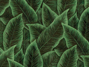 Arte Décors & Panoramiques Bird Of Paradise - 97572