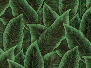 Arte Décors & Panoramiques Bird Of Paradise - 97572