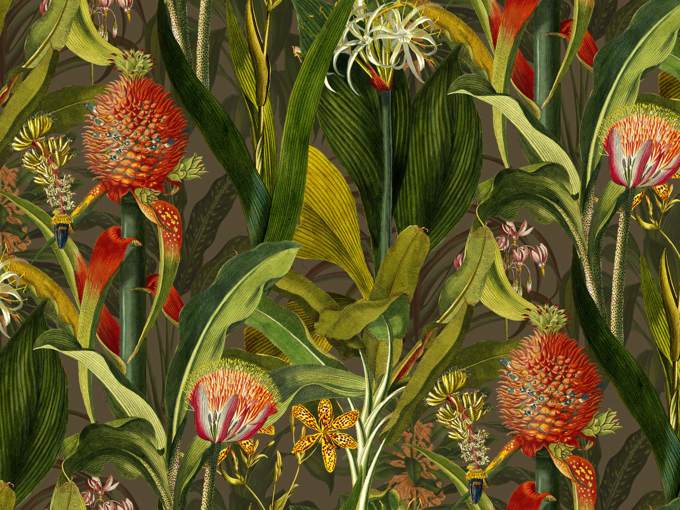 Arte Décors & Panoramiques Blooming Pineapple - 97601