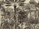 Arte Décors & Panoramiques Valle De Vinales - 97710