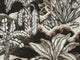 Arte Décors & Panoramiques Balata Garden - 97732