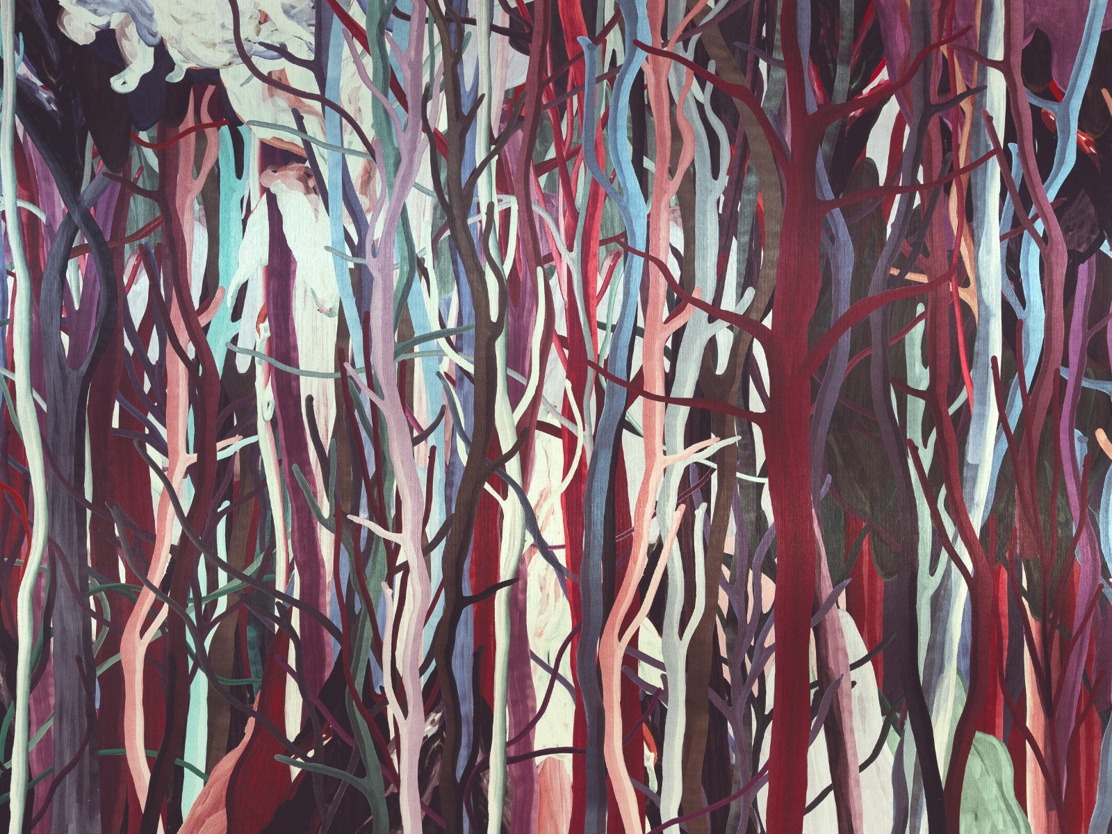 Arte Décors & Panoramiques Mangrove - 97741