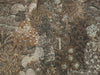 Arte Décors & Panoramiques Forêt Des Muses - 97750