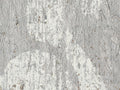 Arte Antares - ANT401