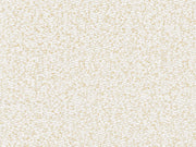 Arte Archipelago Padar - ARC32