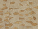 Arte Archipelago Timor - ARC62