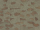 Arte Archipelago Timor - ARC63