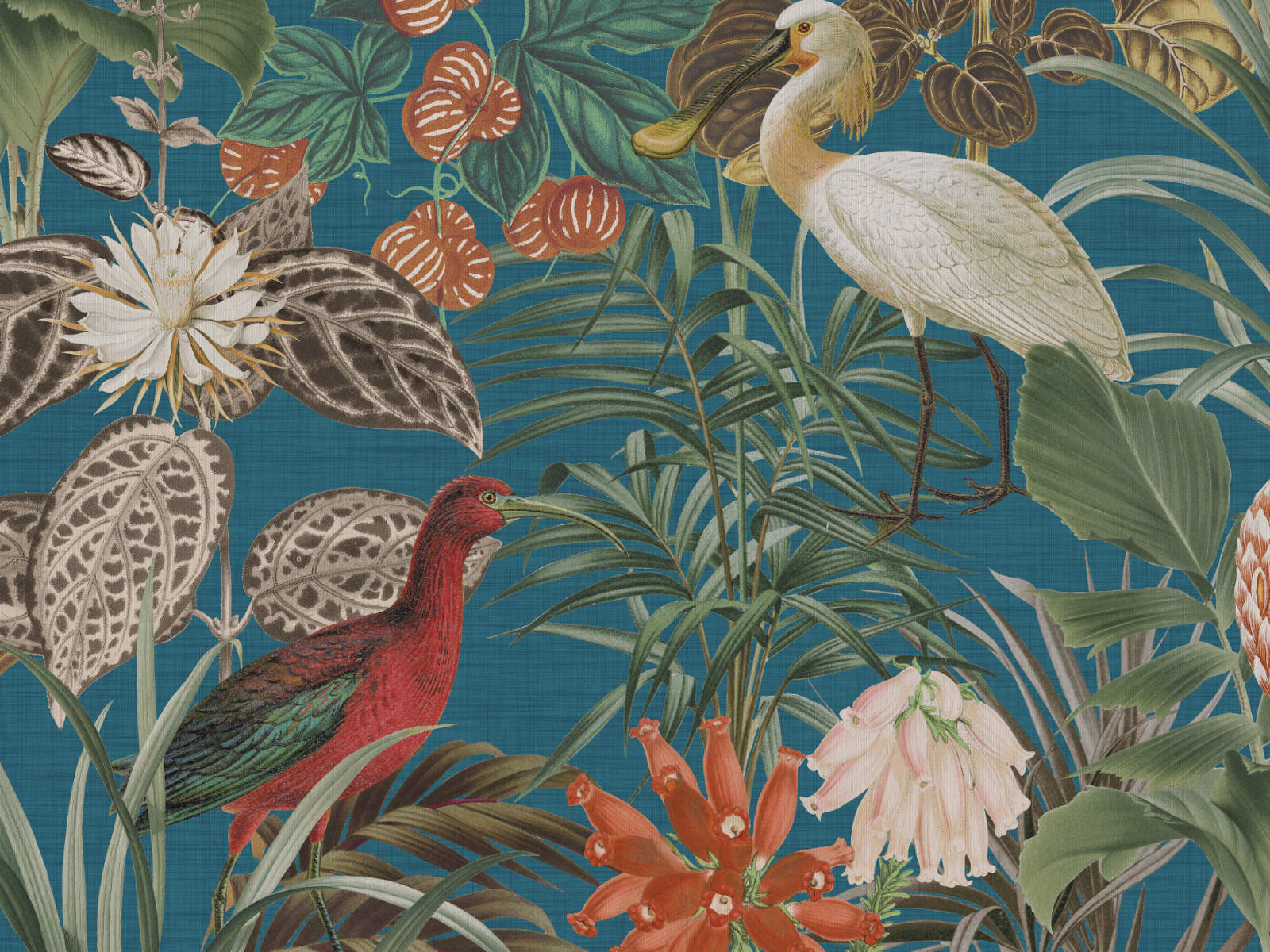 Arte Birds of Paradise The Wading Birds - BOP501
