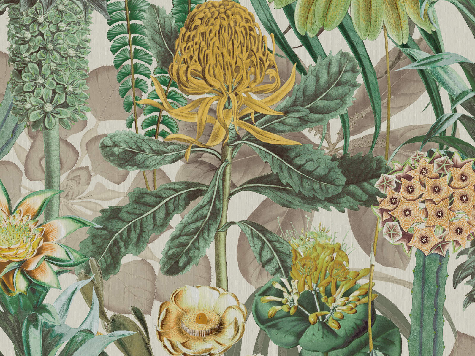Arte Birds of Paradise The Botanist - BOP601