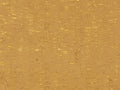 Arte Casca Calligraphy - CAS86
