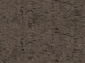 Arte Casca Calligraphy - CAS88