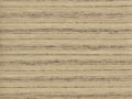 Arte Loom Stories Wild Silk - LS502