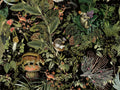 Arte Moooi Menagerie of Extinct Animals - MO2071