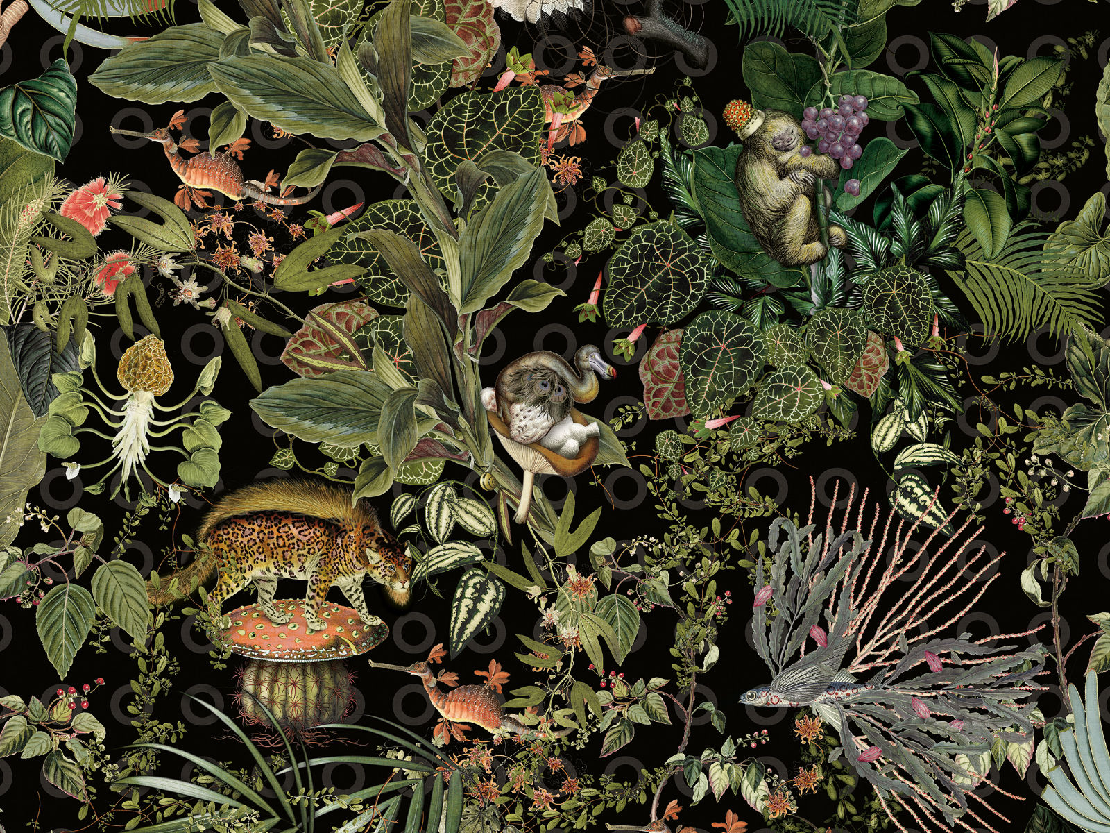 Arte Moooi Menagerie of Extinct Animals - MO2071