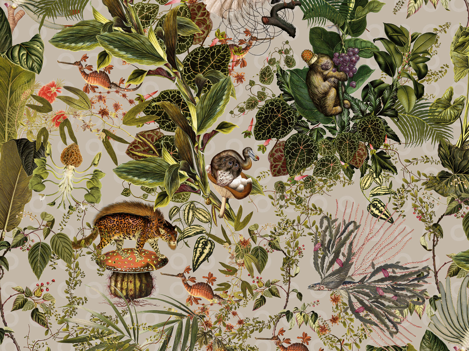 Arte Moooi Menagerie of Extinct Animals - MO2073