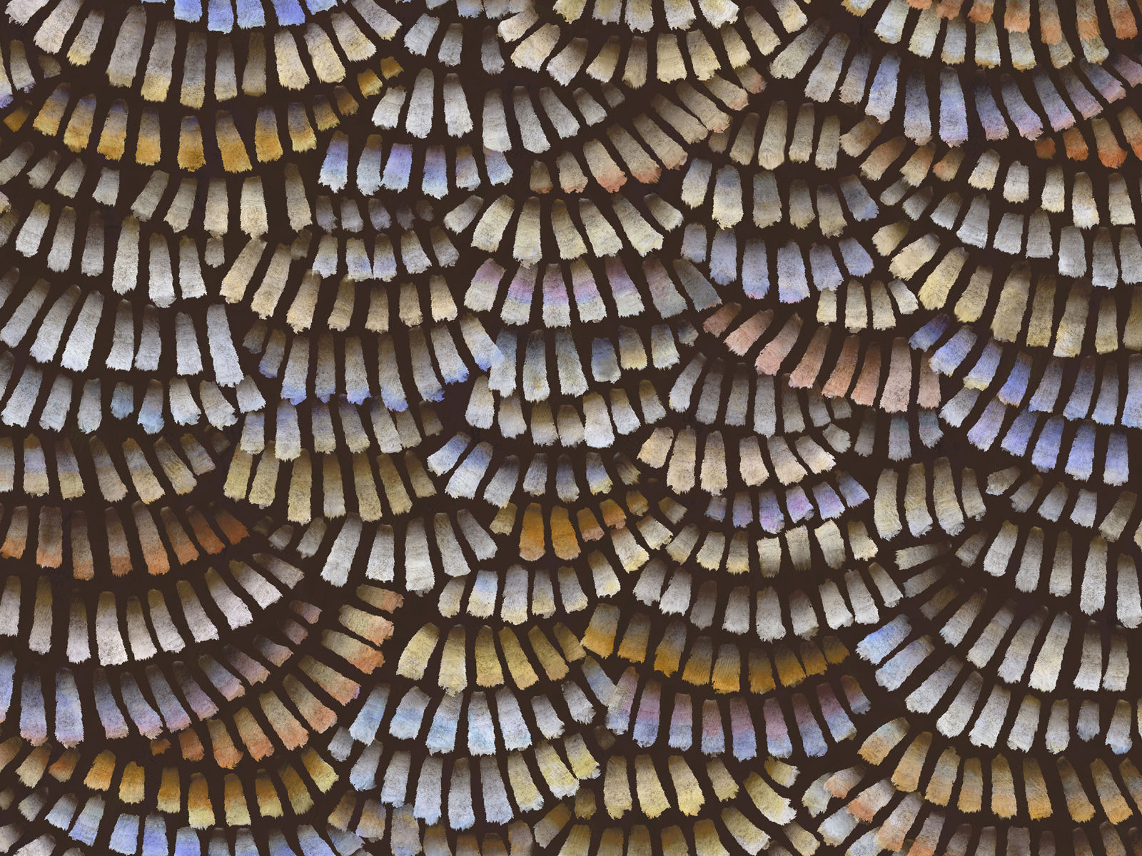 Arte Memento Moooi Dandelion Cranes - MO4021