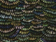 Arte Memento Moooi Dandelion Cranes - MO4022