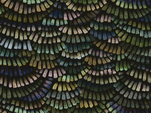 Arte Memento Moooi Dandelion Cranes - MO4022