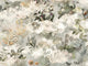Arte Memento Moooi Medley - MO4030